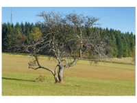 Sieglinde Seitz, Rainer Schmitt