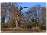 Sieglinde Seitz, Rainer Schmitt