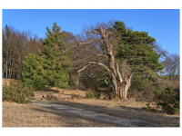 Sieglinde Seitz, Rainer Schmitt