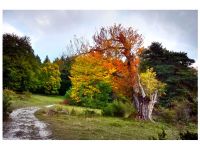 Sieglinde Seitz, Rainer Schmitt