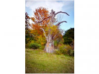 Sieglinde Seitz, Rainer Schmitt