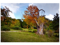 Sieglinde Seitz, Rainer Schmitt