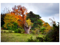 Sieglinde Seitz, Rainer Schmitt
