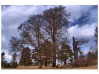 Sieglinde Seitz, Rainer Schmitt