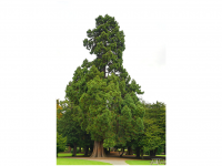 Sieglinde Seitz, Rainer Schmitt