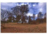 Sieglinde Seitz, Rainer Schmitt