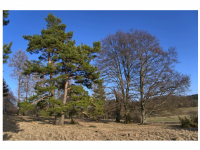 Sieglinde Seitz, Rainer Schmitt