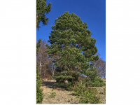 Sieglinde Seitz, Rainer Schmitt