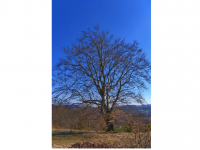 Sieglinde Seitz, Rainer Schmitt