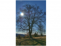 Sieglinde Seitz, Rainer Schmitt