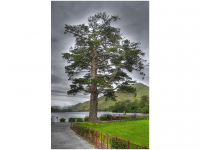 Sieglinde Seitz, Rainer Schmitt