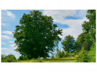 Sieglinde Seitz, Rainer Schmitt