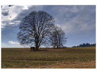 Sieglinde Seitz, Rainer Schmitt