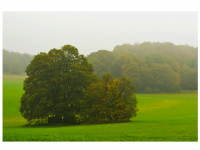 Sieglinde Seitz, Rainer Schmitt