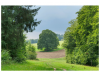 Sieglinde Seitz, Rainer Schmitt