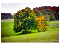 Sieglinde Seitz, Rainer Schmitt