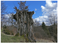 Sieglinde Seitz, Rainer Schmitt