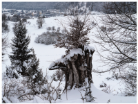 Sieglinde Seitz, Rainer Schmitt