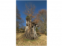 Sieglinde Seitz, Rainer Schmitt