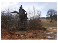 Sieglinde Seitz, Rainer Schmitt