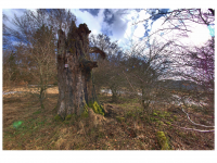 Sieglinde Seitz, Rainer Schmitt