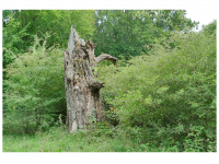 Sieglinde Seitz, Rainer Schmitt