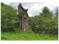 Sieglinde Seitz, Rainer Schmitt