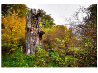 Sieglinde Seitz, Rainer Schmitt