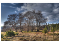 Sieglinde Seitz, Rainer Schmitt