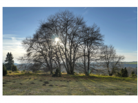 Sieglinde Seitz, Rainer Schmitt