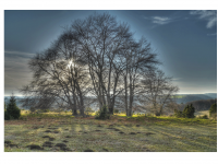 Sieglinde Seitz, Rainer Schmitt