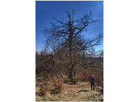 Sieglinde Seitz, Rainer Schmitt