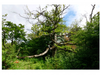 Sieglinde Seitz, Rainer Schmitt