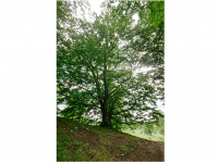 Sieglinde Seitz, Rainer Schmitt