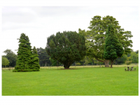 Sieglinde Seitz, Rainer Schmitt