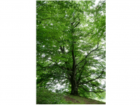 Sieglinde Seitz, Rainer Schmitt