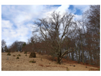 Sieglinde Seitz, Rainer Schmitt