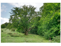 Sieglinde Seitz, Rainer Schmitt