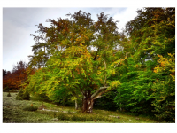 Sieglinde Seitz, Rainer Schmitt