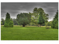 Sieglinde Seitz, Rainer Schmitt