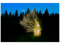 Siegmar und Marcel Riede