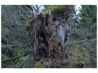 Siegmar und Marcel Riede