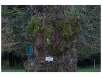 Siegmar und Marcel Riede