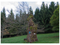 Siegmar und Marcel Riede