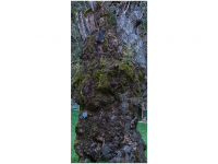 Siegmar und Marcel Riede