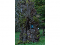 Siegmar und Marcel Riede