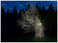 Siegmar und Marcel Riede