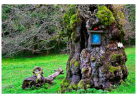 Siegmar und Marcel Riede