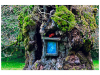 Siegmar und Marcel Riede