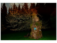 Siegmar und Marcel Riede